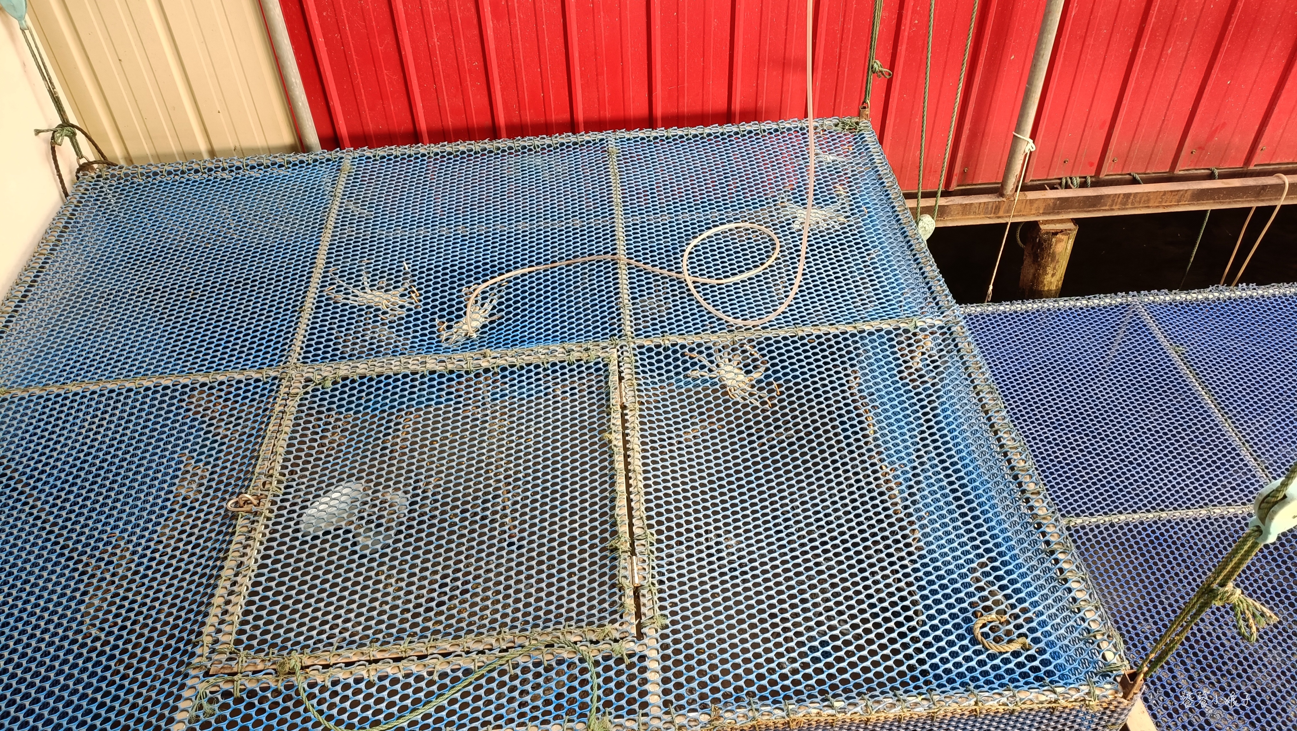 阳澄湖大闸蟹自驾地点推荐,去阳澄湖吃正宗大闸蟹攻略来了