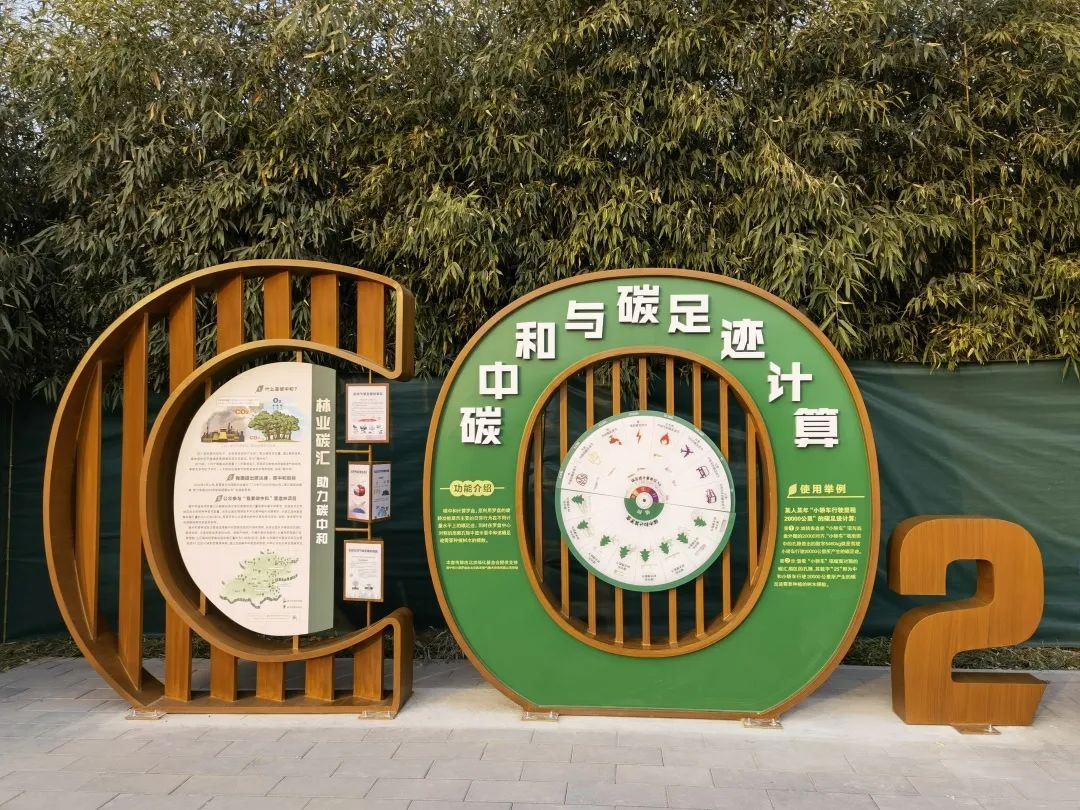 深度|如何实现人人参与“双碳”？