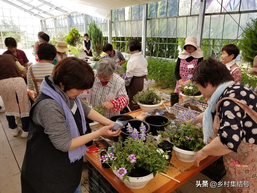 【推荐】日本馆森方舟牧场：让农业变成年轻人梦想的魅力产业