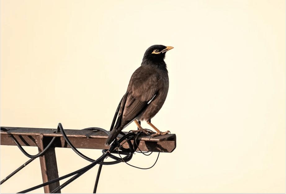 沪金期货一手多少钱,沪金期权合约一手多少钱