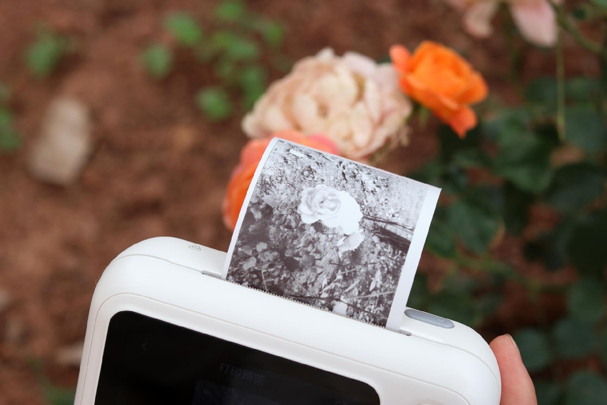 喵喵机智能学习打印机n1,打印错题的喵喵机哪款更好用