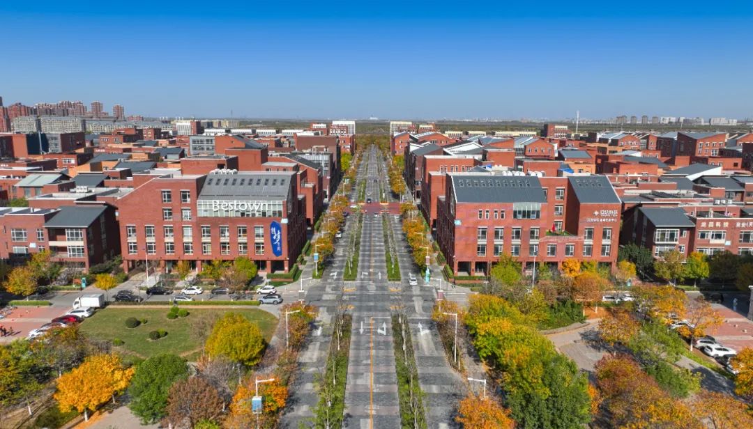 今天泰达有什么消息,滨海泰达最近新消息