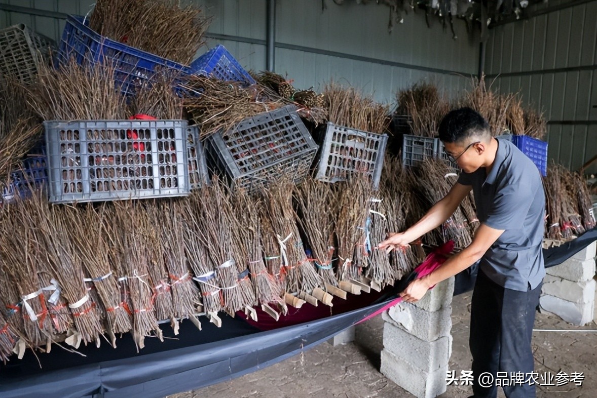 95后小伙捡破烂为生如今身价过亿,90后小伙靠捡烟头年入百万