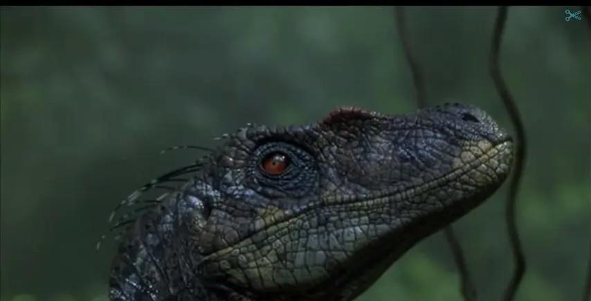 恐龙智慧大逆袭！揭示速龙的秘密语言，挑战人类与自然的和谐平衡