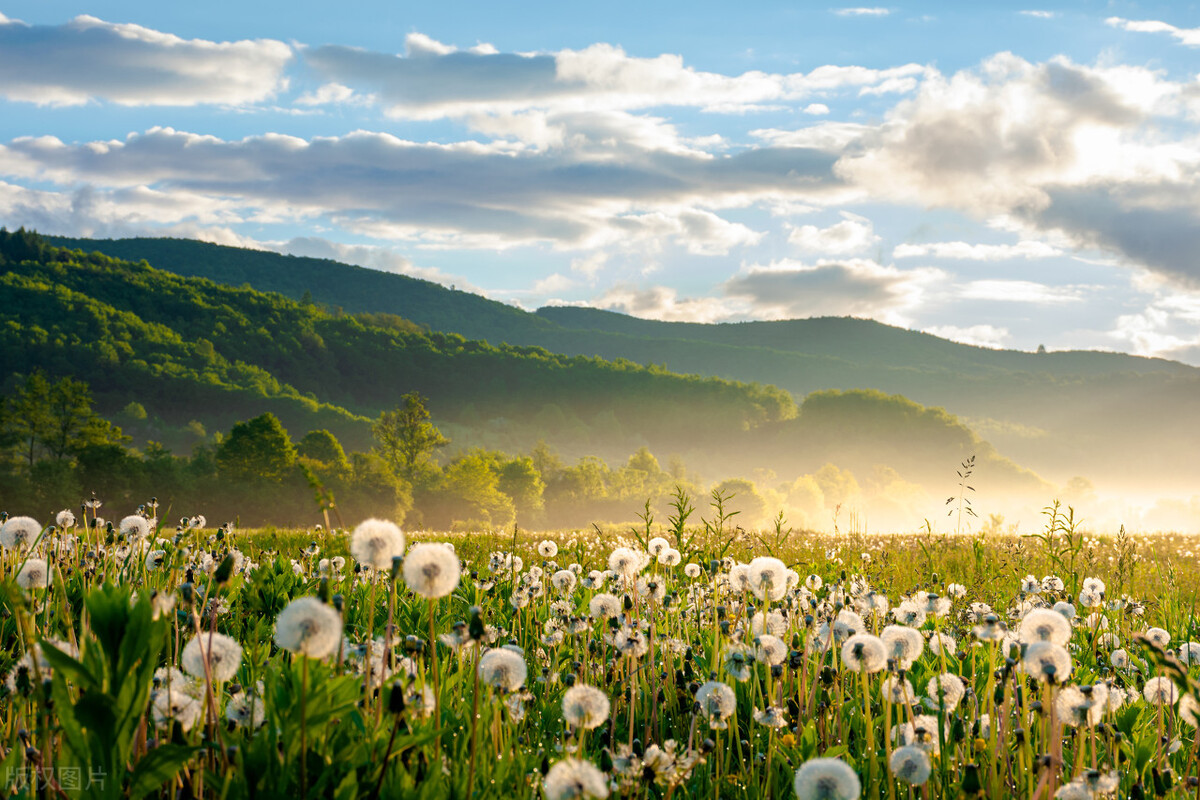 作文50个技巧,作文上50分的方法