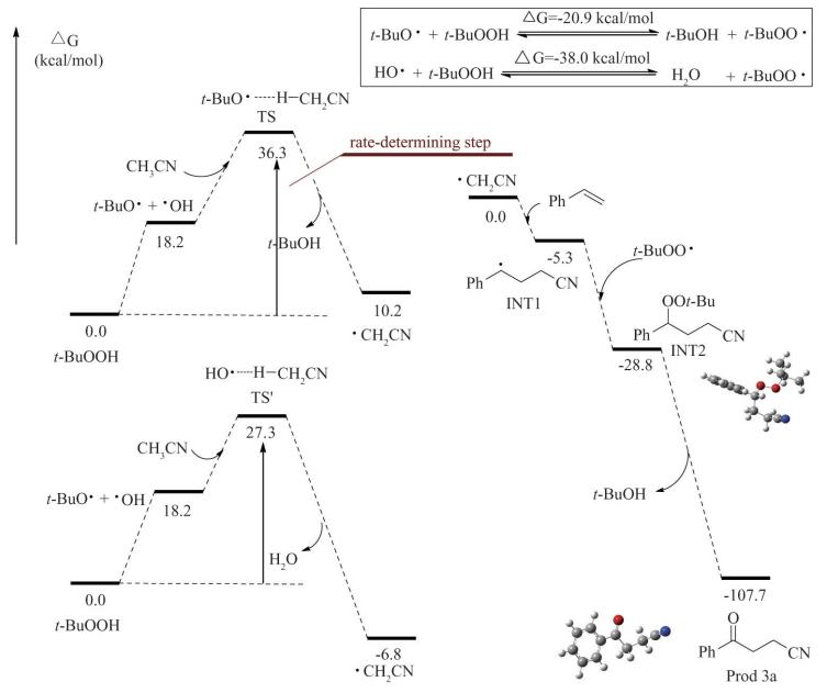 苯乙烯衍生物的γ－酮腈等系列双*能官**团化反应研究|科技导报