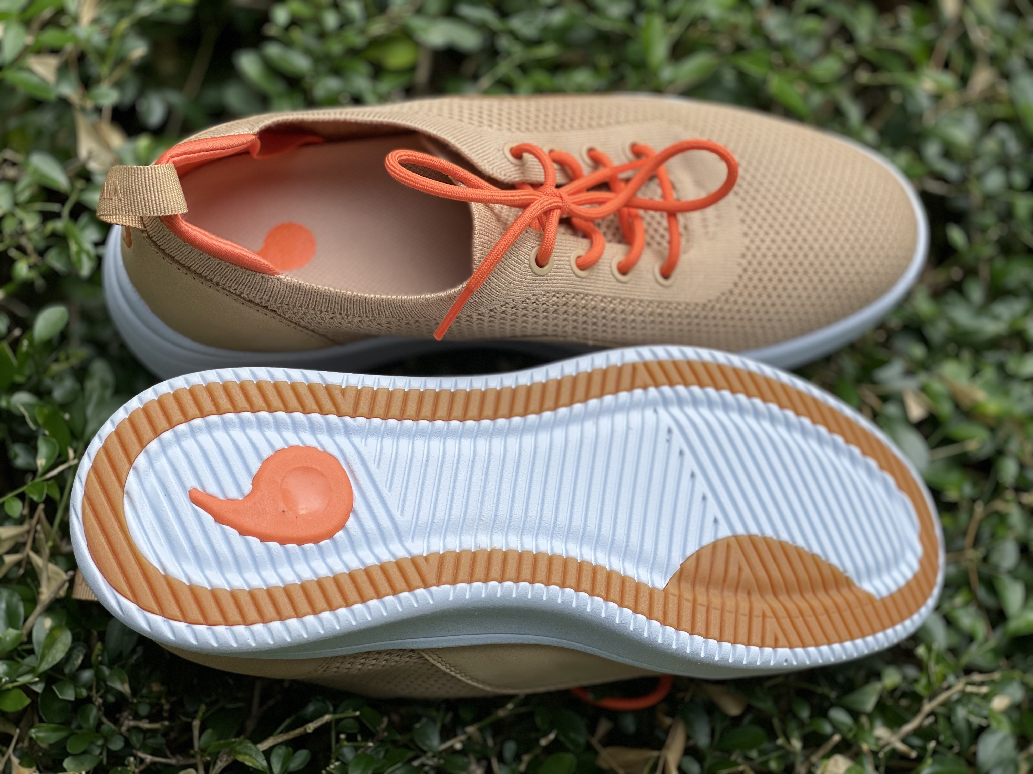 从洋品牌到国潮,从大牌到国货