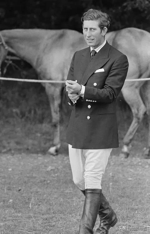 国王查尔斯三世开什么车,查尔斯三世出售新西兰房产