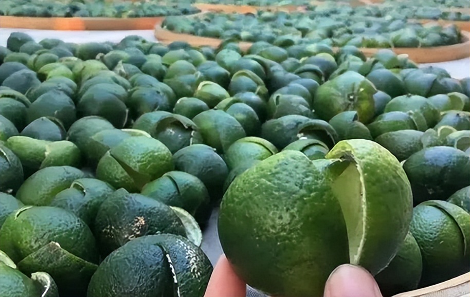 中药青皮,每日一味中药陈皮