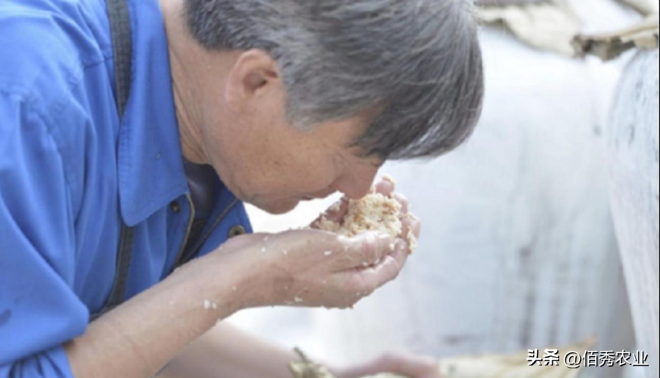 酿酒利润有多少,自己酿酒一百斤酒能赚多少钱