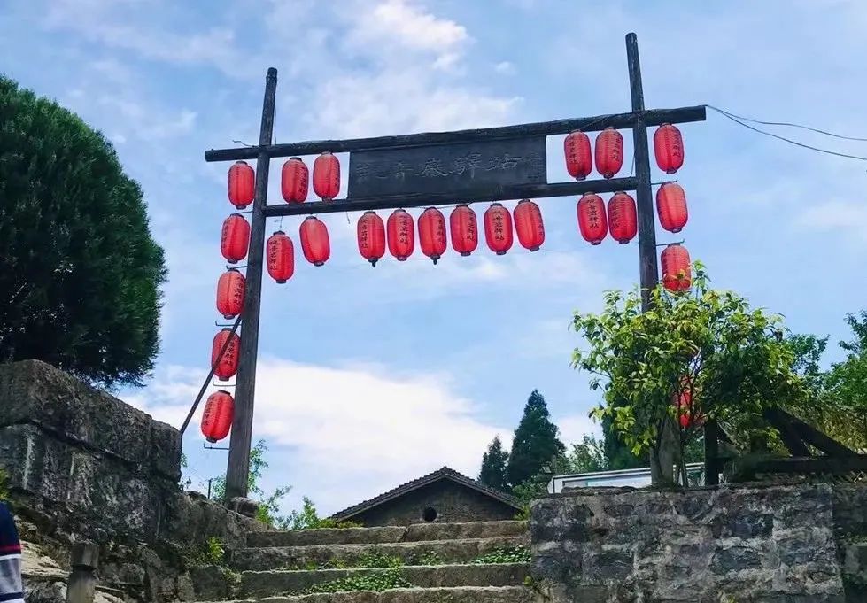 南川区金佛山旅游攻略,南川金佛山一日自驾游攻略