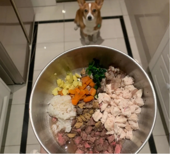 狗狗毛发粗糙用什么洗护,狗狗的毛发不顺最简单的方法