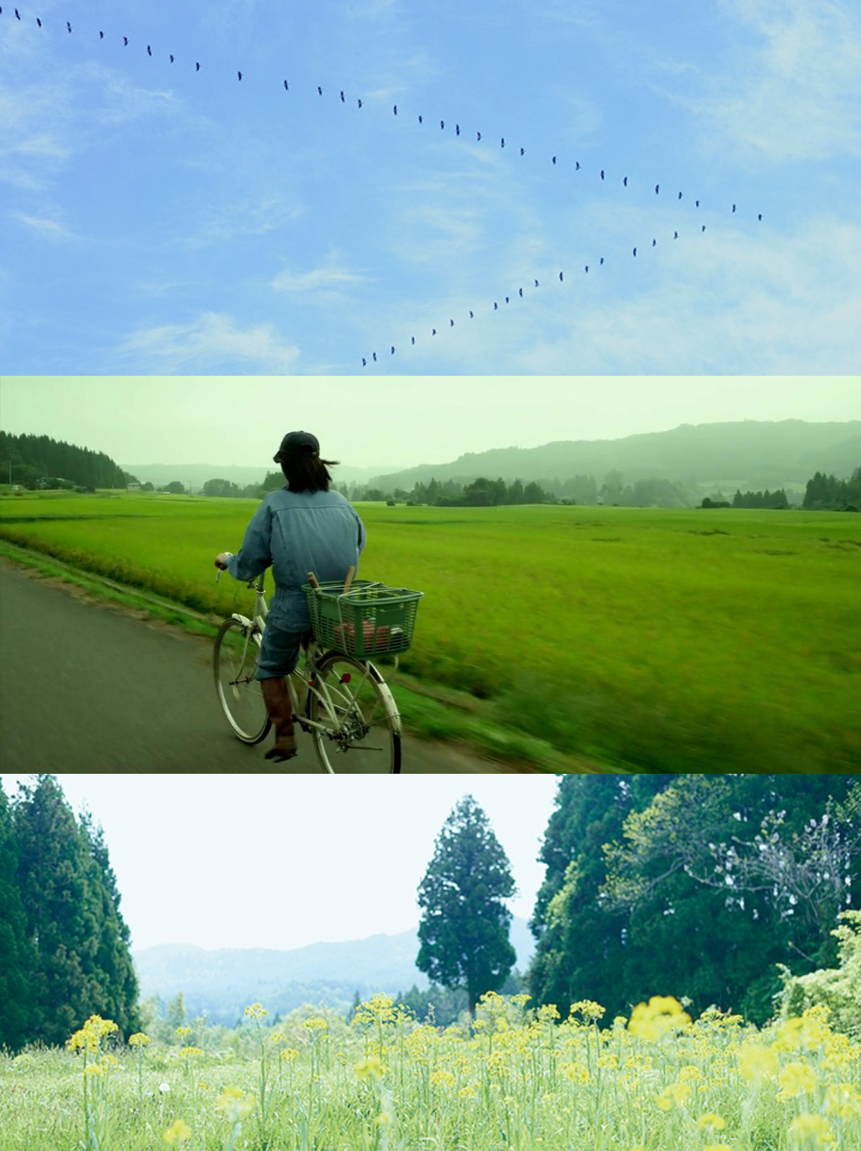 8部高分电影推荐片荒的看过来,10部口碑炸裂的经典高分电影