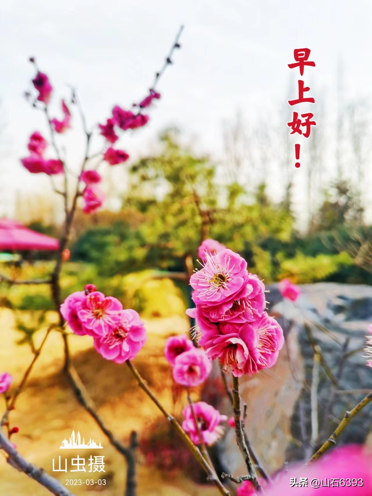 【战友美文】郭福成（天王福哥）：《*梦春**》（诗）