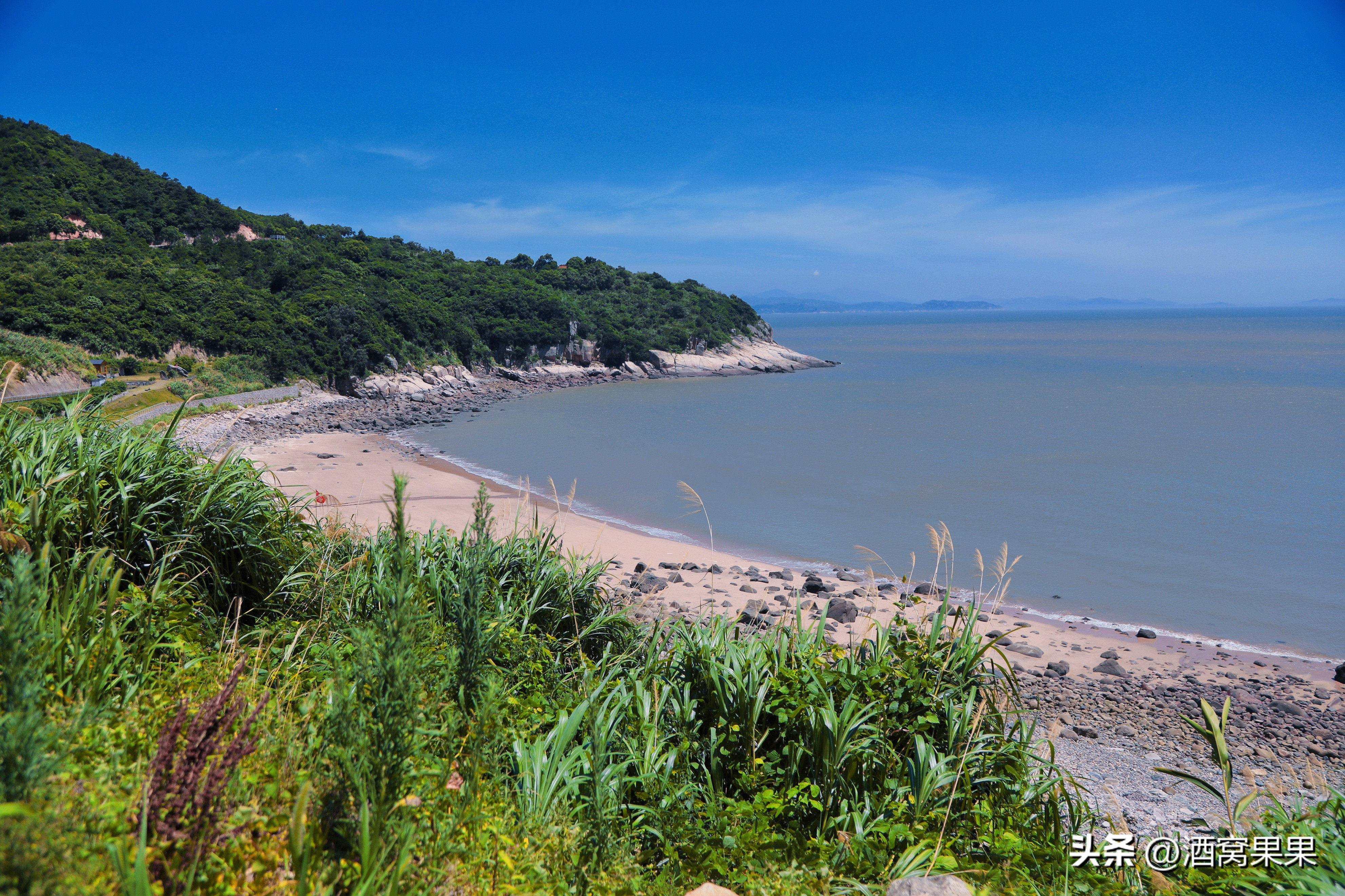 福鼎两天一夜旅游攻略,福鼎茶漫步茶园体验采茶之旅