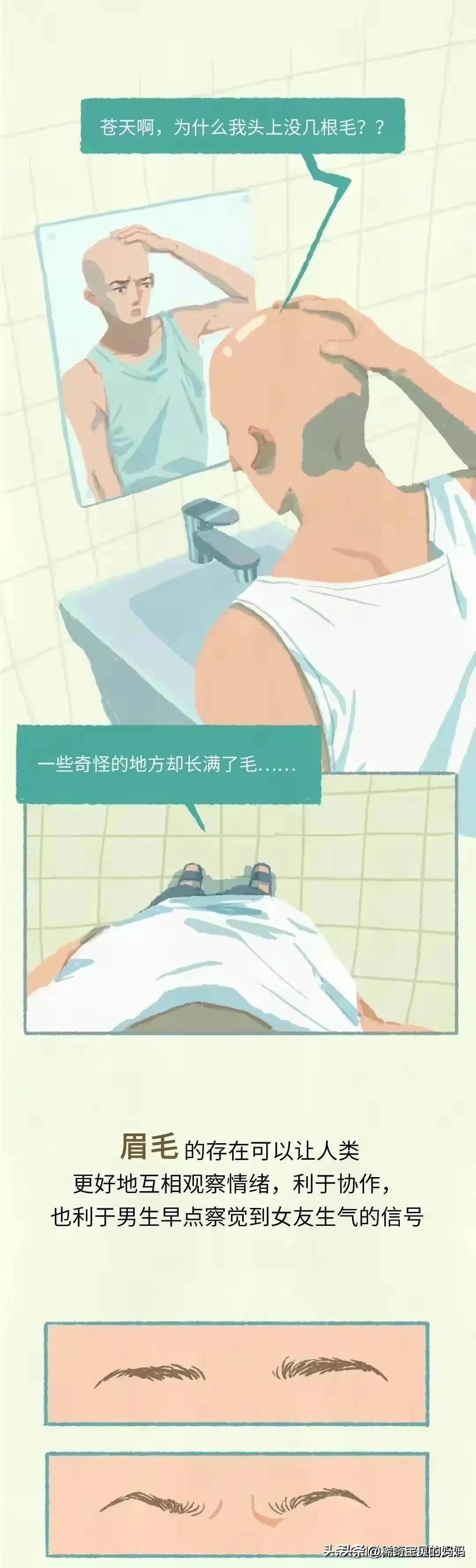 人类的体毛作用,人类为何没有浓密的体毛