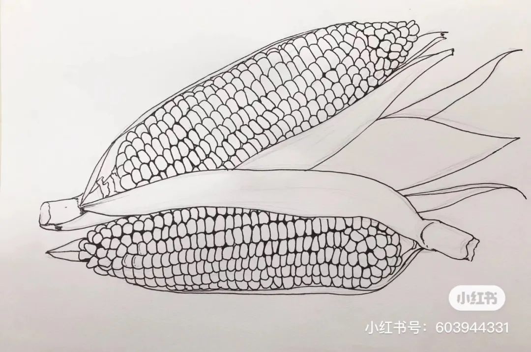 针管笔画线条练习,针管笔黑白装饰画线描