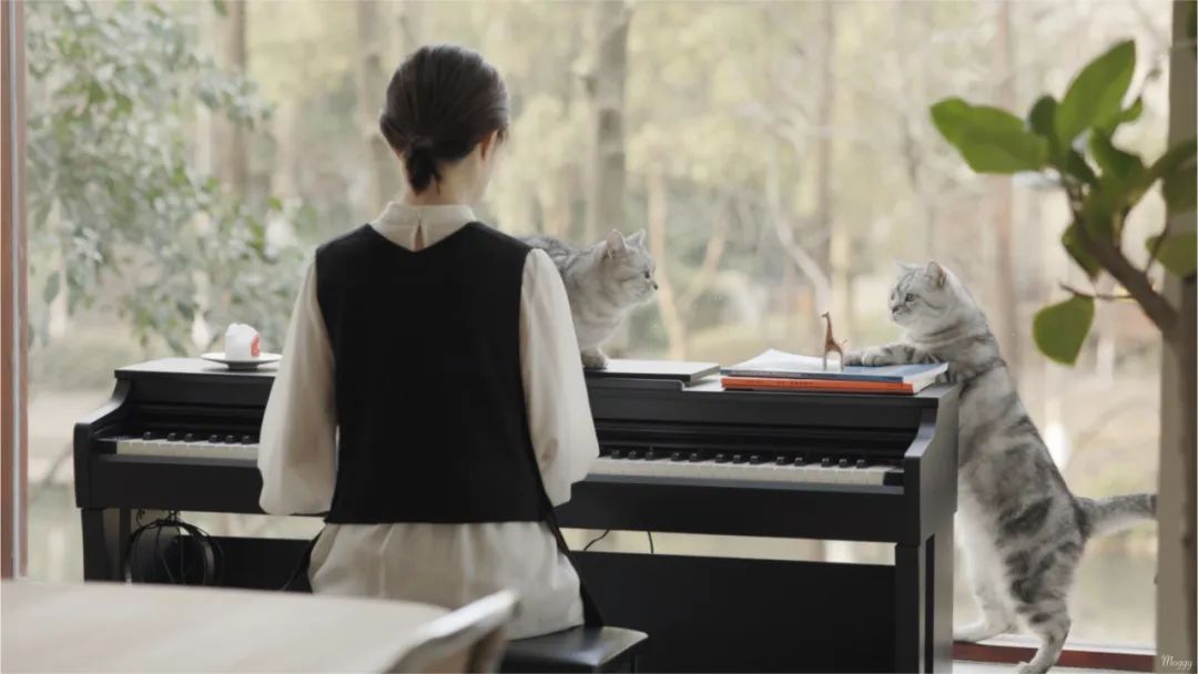 封控48天，*靠我**7㎡储藏室实现物资自由，安全感十足