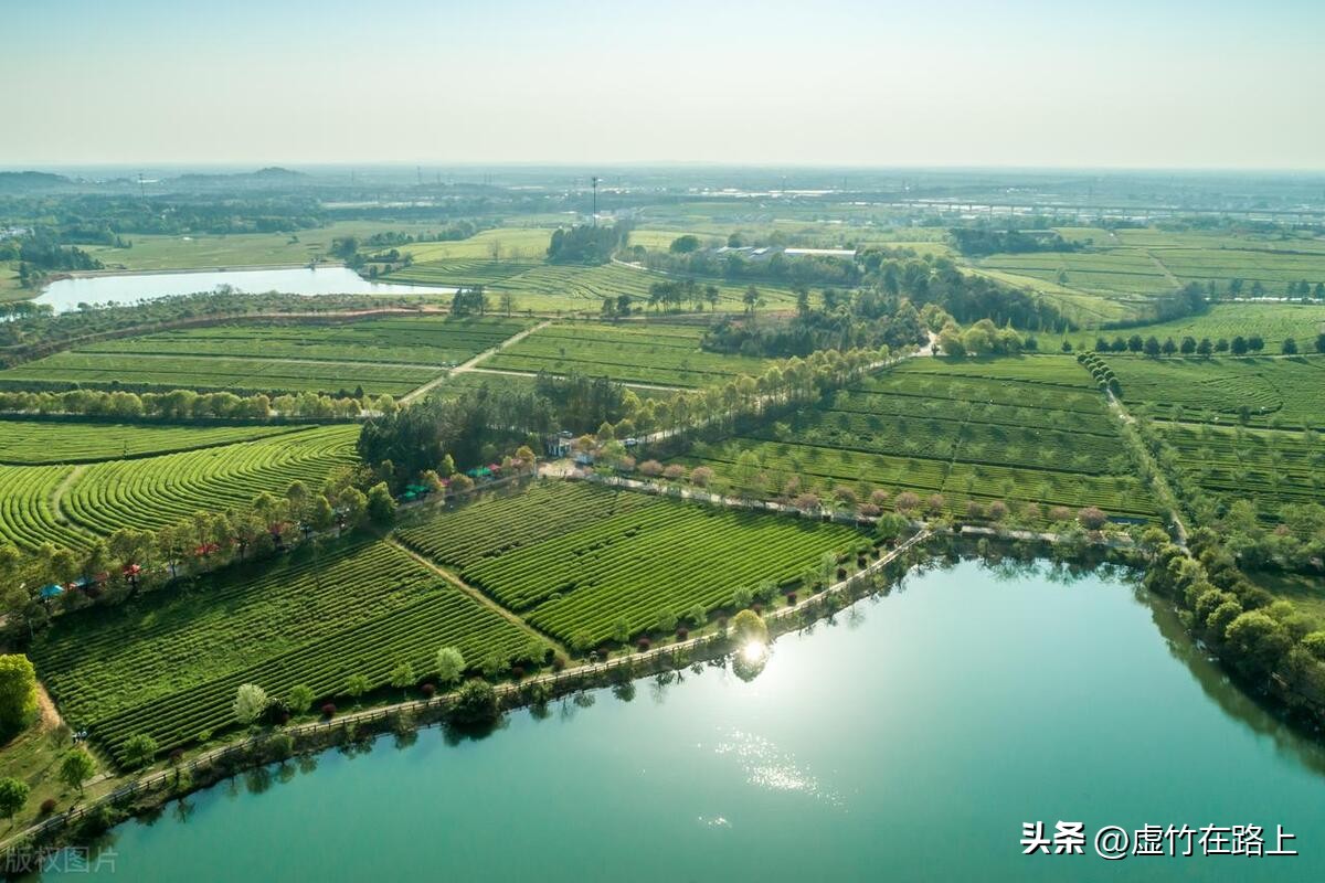 未来10年具有发展前景的赛道,未来5年最有前途的细分赛道