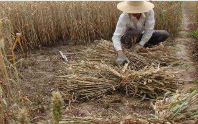 一个普通人怎么做到月入4万,打工者如何在一年内赚5万