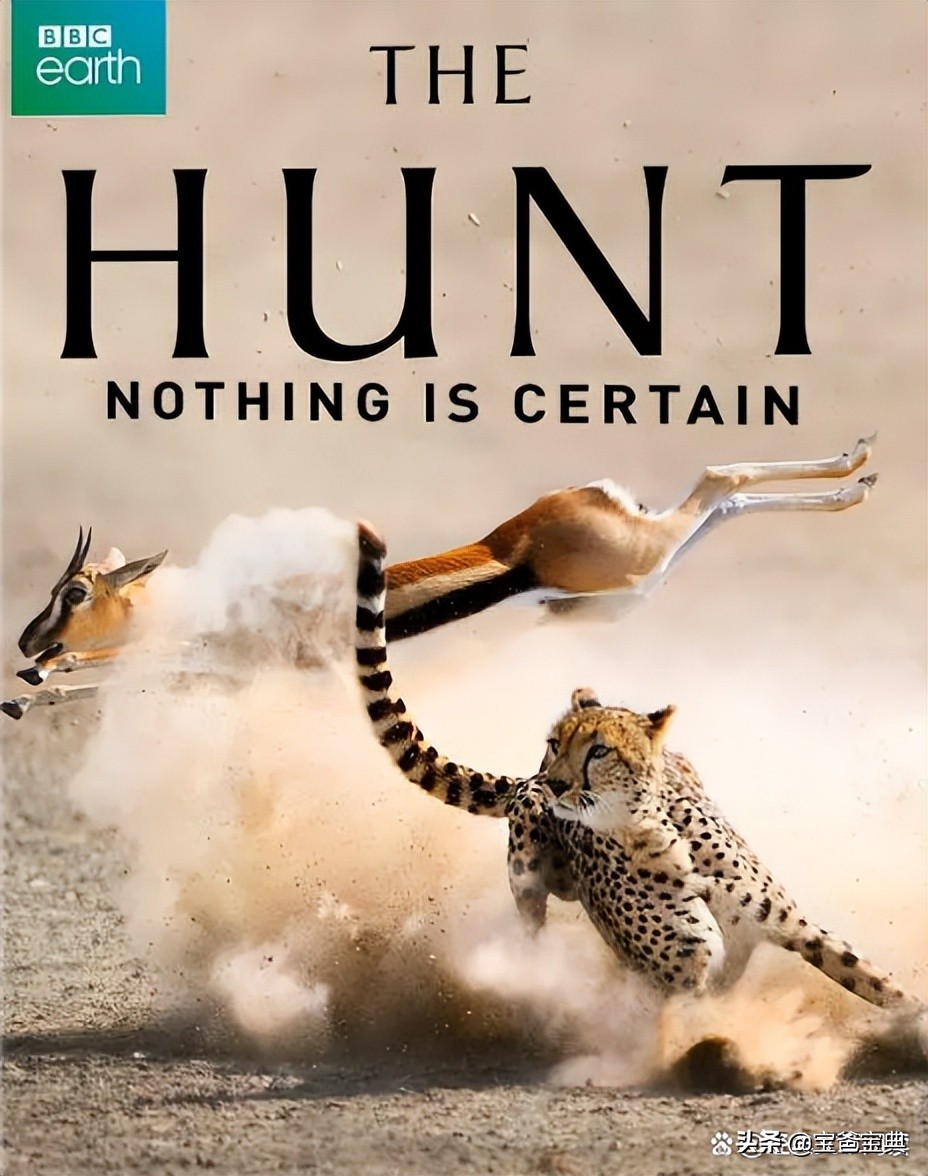 地理类十大高分纪录片,9部初中生必看的地理纪录片