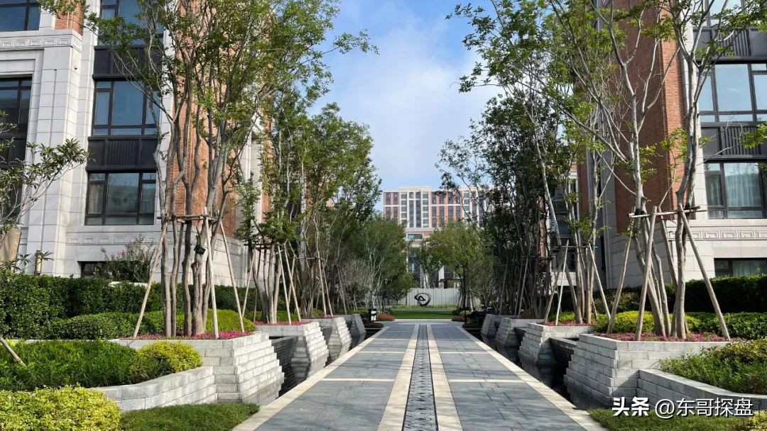 如果能投票,你最希望哪家郑州本土房企渡过危机?