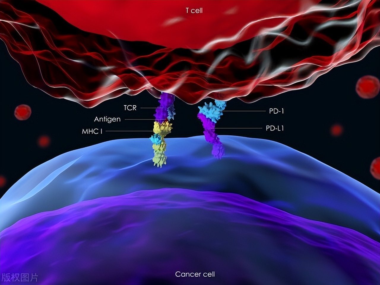 医药一哥恒瑞现状,医药一哥最新利润