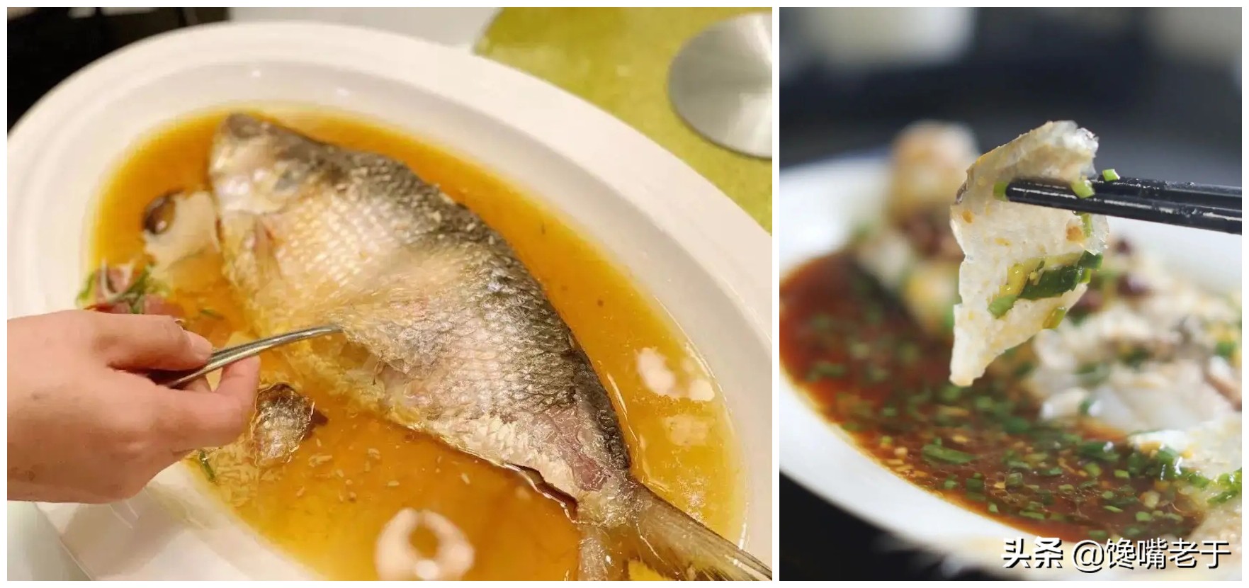 冬天最适合吃的五种鱼,盘点夏季必吃的十种鱼