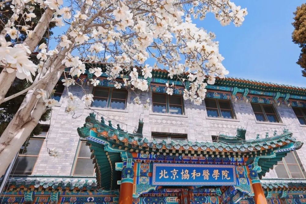 中国十大医药类大学排名,中国十大医药院校