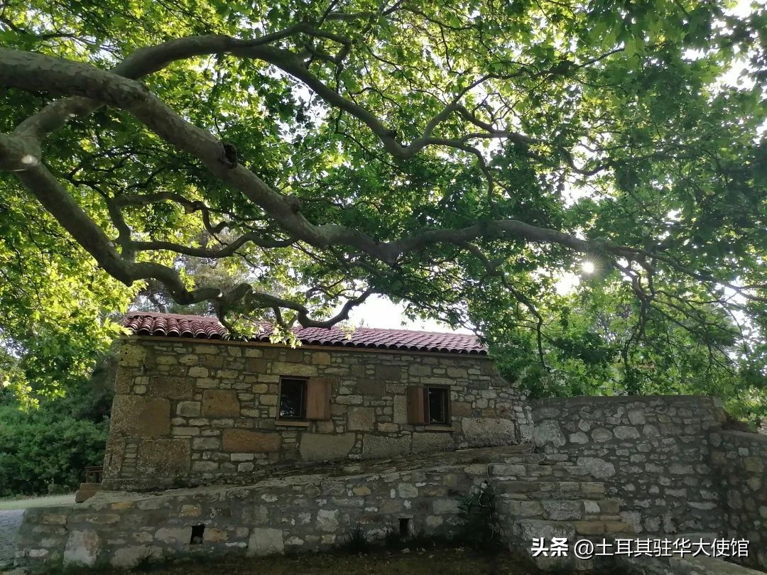 一个巴基斯坦女孩的旅行日记（9）：我梦见了博兹卡达