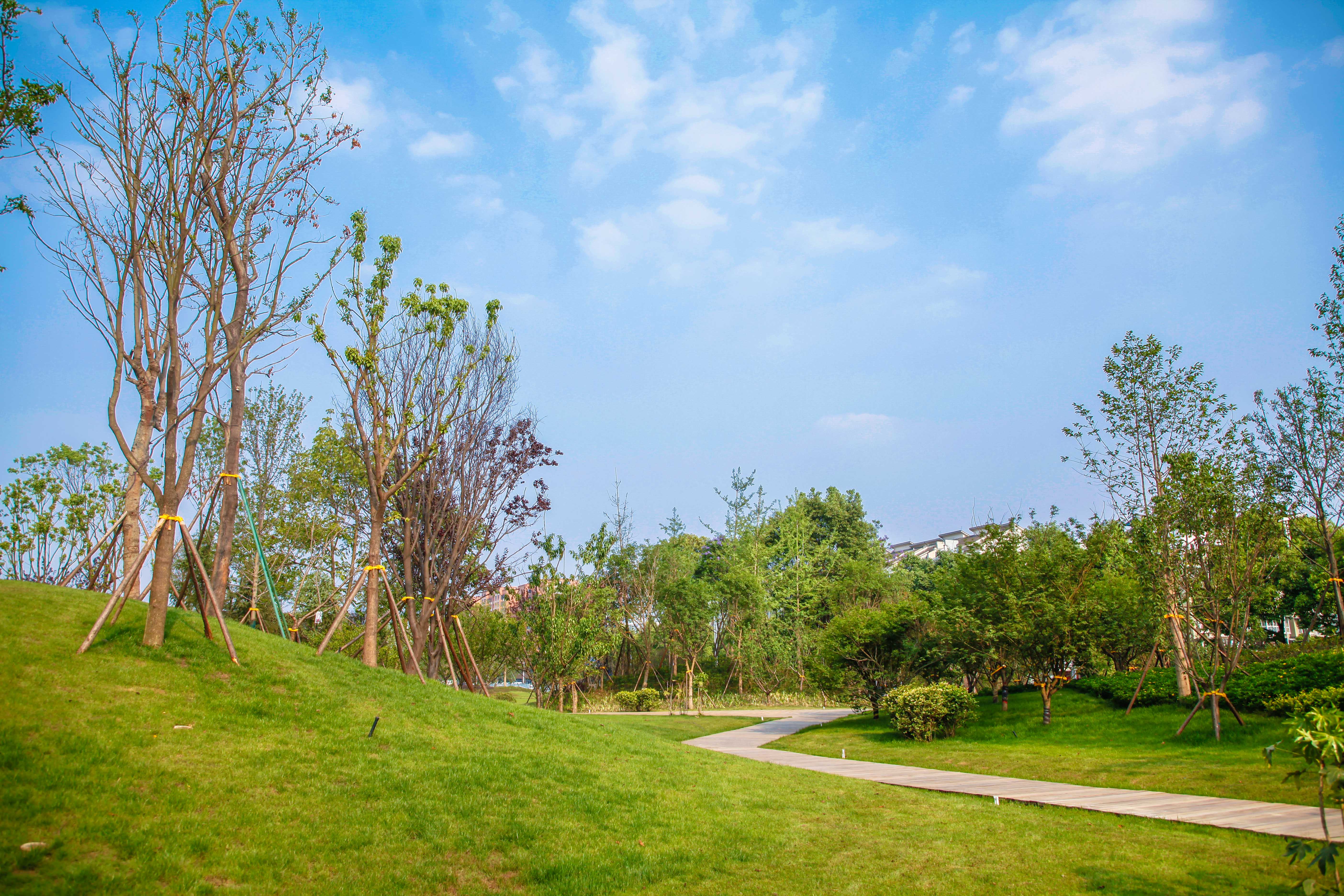 喜气洋洋迎新春,喜气洋洋喜迎春