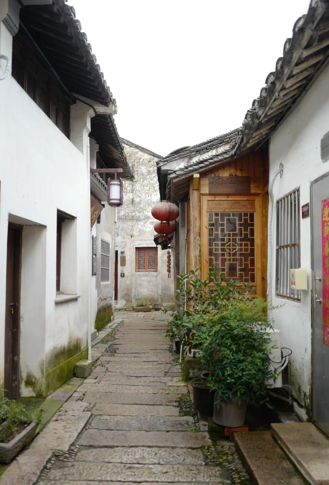 我去竹林避暑了，夏天过完再通知我！