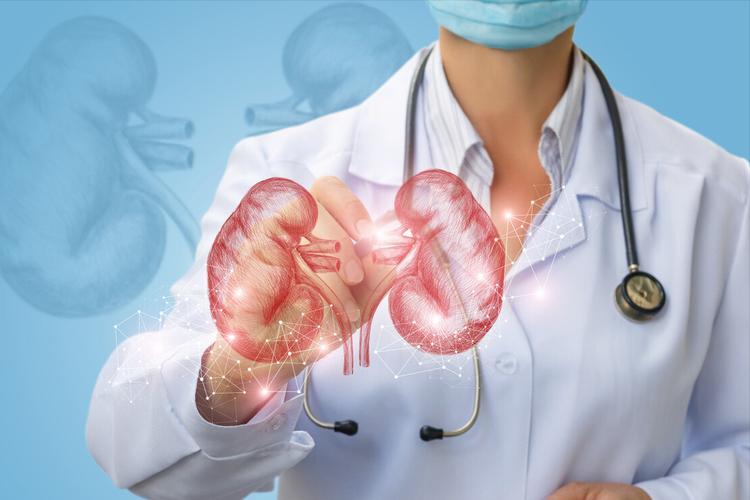 桃养人杏伤人正确说法,为啥说桃养人杏伤人