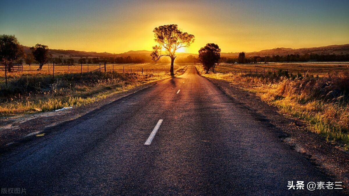 女作家去做保姆651,女作家去做保姆剧情