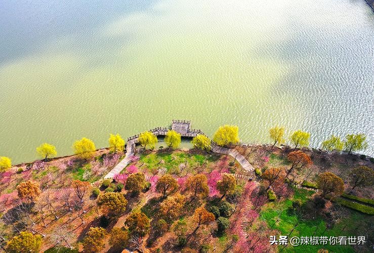 盐城最大的海边城市,盐城海岸线为何一直延伸
