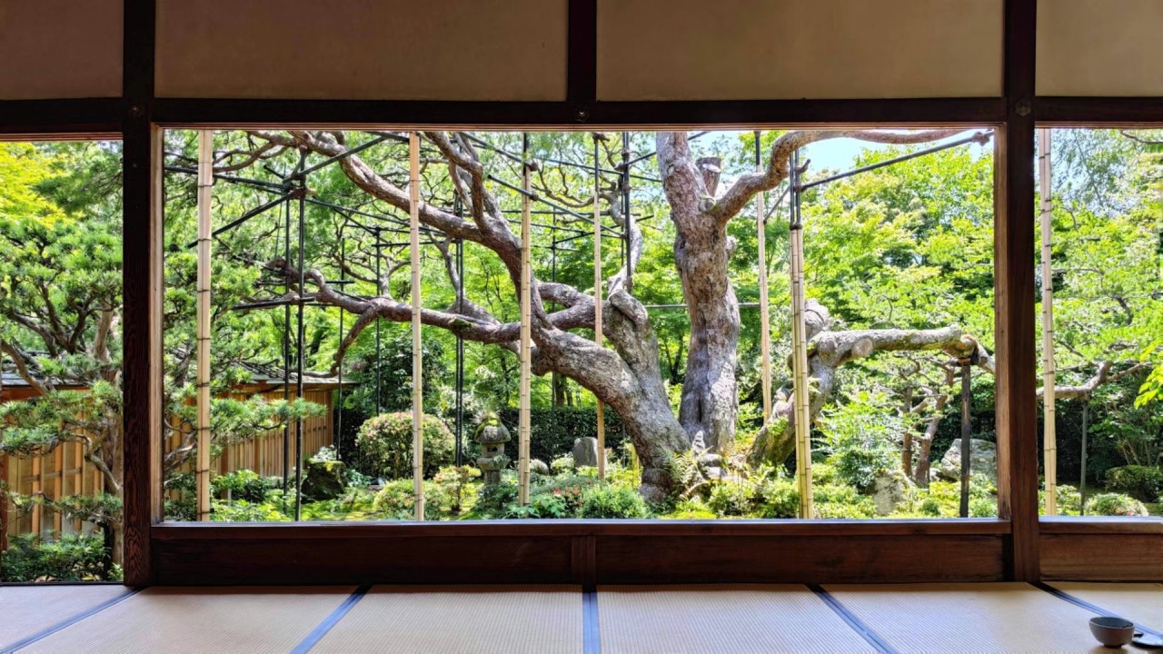 京都旅游住宿排行榜,京都人的私房雅趣全集