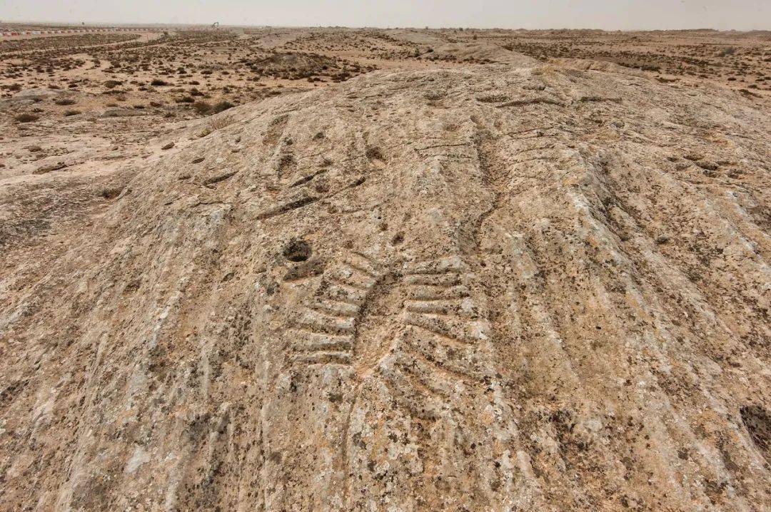 卡塔尔人头顶一个布,卡塔尔头顶一块布谁设计的