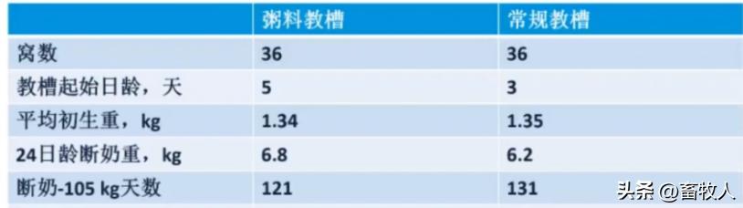 万建美博士:母仔一体化低蛋白猪料配方方案的设计与应用关键
