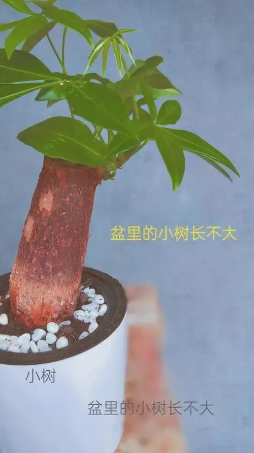 你怎么看自己别人就会怎么看你,抖音怎么看自己的评论过的记录