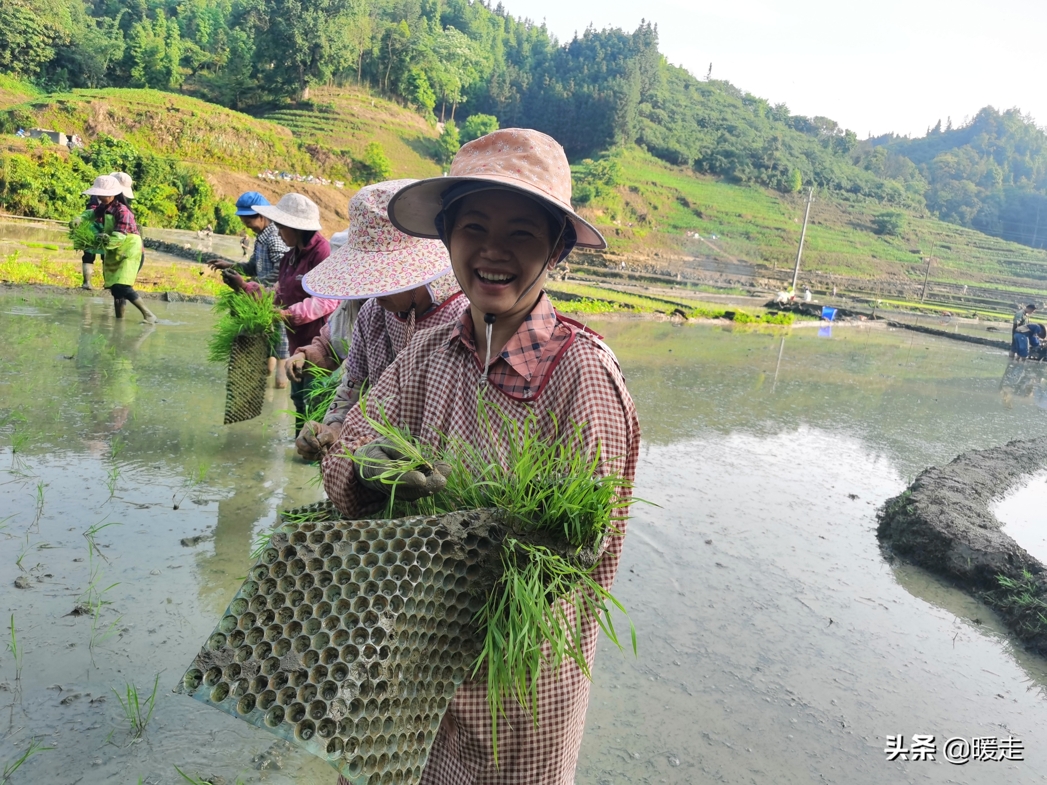 广西农民种田,乡村种田的生活视频