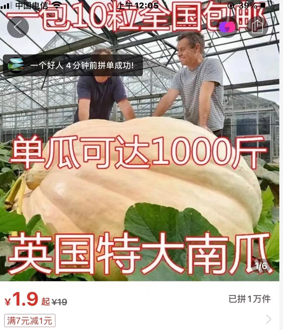 拼夕夕的海报推荐,拼夕夕ins风海报