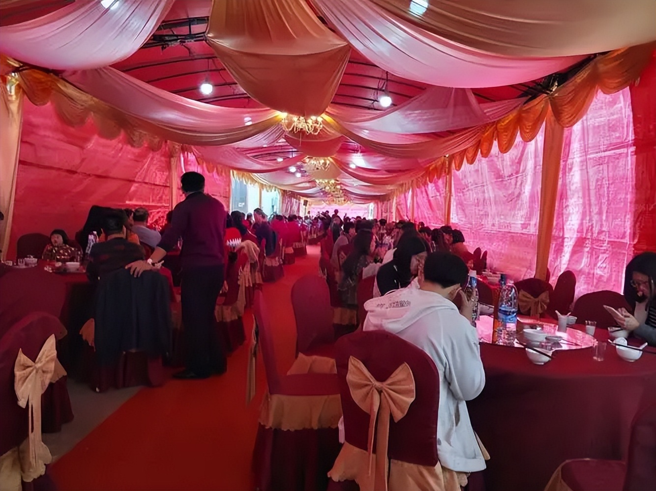 海南巨蟒为报恩甘愿当保姆,两名男子救下巨蟒