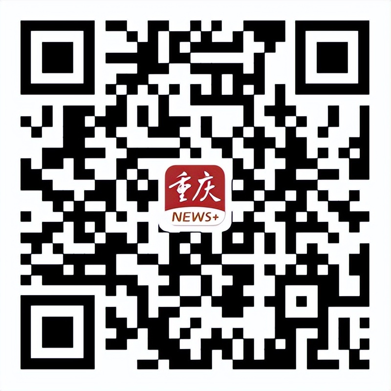 重庆市级公租房摇号配租事件,重庆公租房摇号配租