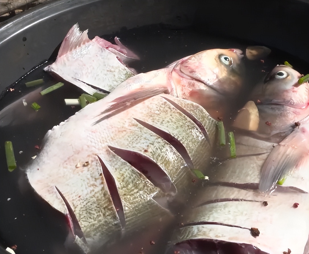 返乡创业养鱼一年要卖五十万,男子回乡养鱼创业年销售额上千万