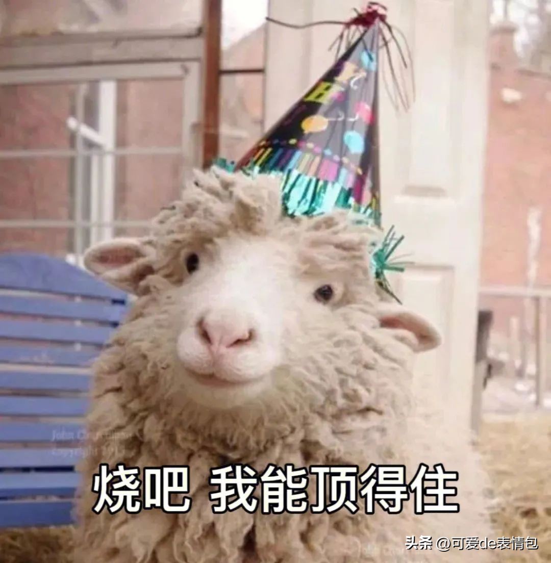 抖音黑人老嫂子搞笑表情包合集