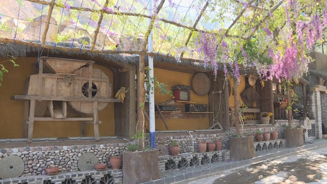 渔业乡村振兴,乡村振兴大棚养淡水鱼