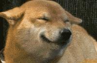 中国人下南洋如何白手起家,白手起家的人特征