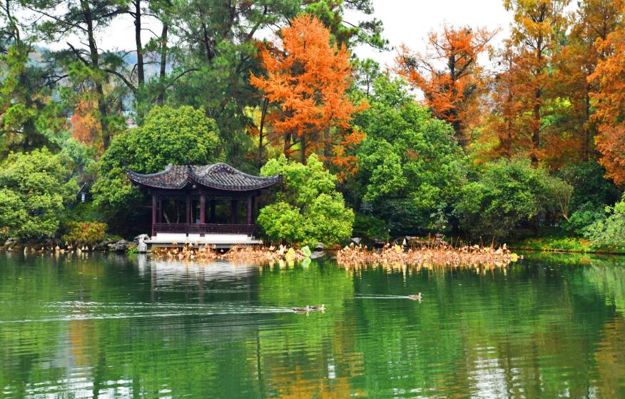 西湖的秋景诗句,西湖的秋天是美丽的