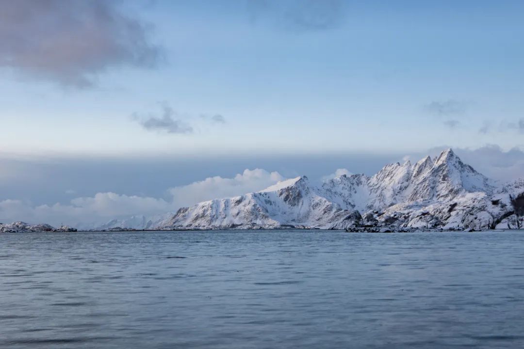 日式碳烤青花鱼做法,干煎小金枪鱼