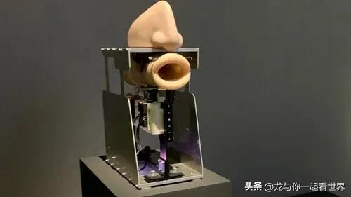 出国旅游的人真实感受,一些出国之后才发现的事